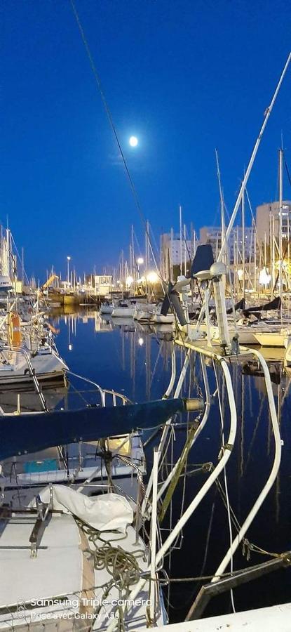 Gite Vedette Hollandaise Lorient Kültér fotó